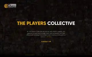 Playerscollective.com Screenshot 2024-06-15 18:51:55