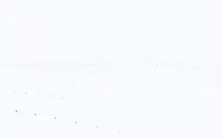 Biajans.com Screenshot 2024-07-08 10:44:04