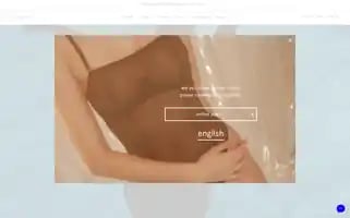 Blushlingerie.com Screenshot 2024-05-08 20:05:58