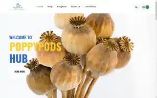 Poppypods.online Screenshot 2024-05-26 07:51:36