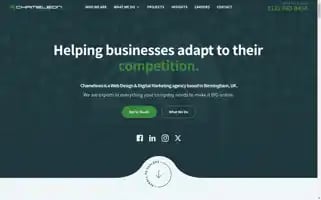 Chameleon.co.uk Screenshot 2024-06-30 23:48:04