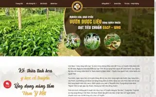 Dongyvietnam.org Screenshot 2024-06-25 19:42:44