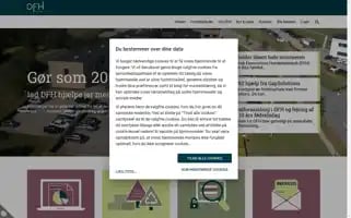 Dfhservice.dk Screenshot 2024-07-10 01:19:35
