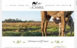 Qcamel.com.au Screenshot 2024-07-02 07:27:06