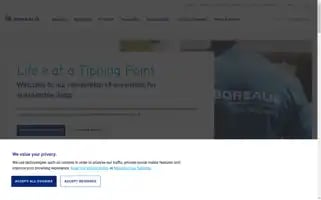 Borealisgroup.com Screenshot 2024-06-13 18:14:10
