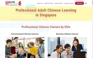 Elitelinguistic.com Screenshot 2024-06-16 12:41:11