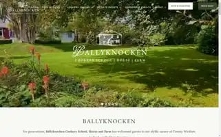 Ballyknocken.ie Screenshot 2024-06-11 16:54:43