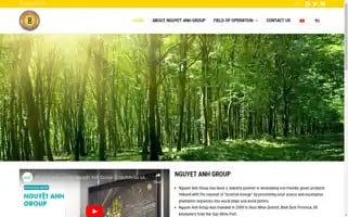 Nguyetanhenergygroup.com Screenshot 2024-05-27 16:20:21