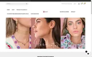 Thewildstone.shop Screenshot 2024-05-29 13:33:22