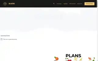 Bigcaters.com Screenshot 2024-05-24 19:16:39