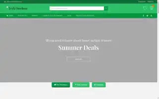 Teylioutdoor.com Screenshot 2024-04-24 03:38:01