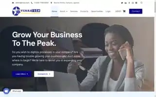 Vinas.tech Screenshot 2024-05-26 07:53:34