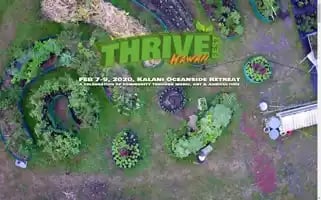 Thrivefesthawaii.com Screenshot 2024-07-06 01:07:07