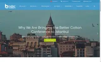 Bettercotton.org Screenshot 2024-06-28 21:25:10