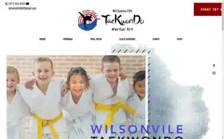Wilsonvilletkd.com Screenshot 2024-05-19 20:02:55
