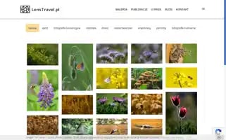 Lenstravel.pl Screenshot 2024-04-17 06:24:31