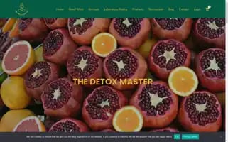 Thedetoxmaster.com Screenshot 2024-05-21 11:30:35