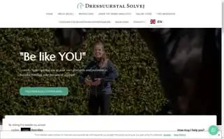 Solvej.eu Screenshot 2024-06-28 10:42:44