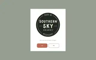 Southernskybrands.com Screenshot 2024-06-17 04:05:46