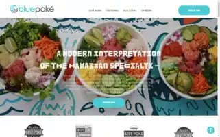 Bluepoke.com Screenshot 2024-05-15 14:50:38