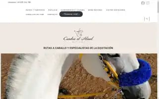 Cuadraelalisal.com Screenshot 2024-07-04 00:13:40