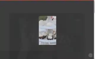 Mtailzy.com Screenshot 2024-05-13 00:52:07