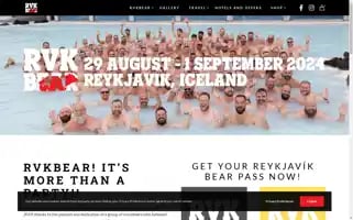 Reykjavikbear.is Screenshot 2024-06-17 15:55:28