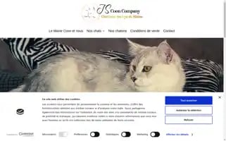 Jscooncompany.com Screenshot 2024-05-19 11:54:00