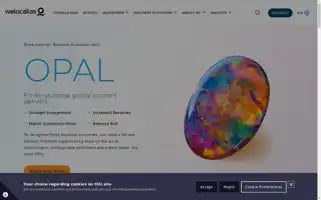 Welocalize.com Screenshot 2024-07-06 22:30:08