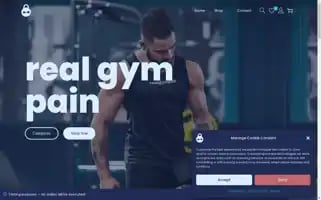 Realgympain.com Screenshot 2024-05-27 01:11:12