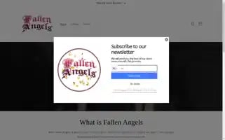 Fallenangels.clothing Screenshot 2024-04-27 15:15:24