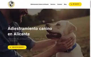 Adiestramientogadi.com Screenshot 2024-05-17 01:42:15
