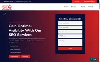 Seostrategiespro.com Screenshot 2024-06-17 22:42:41