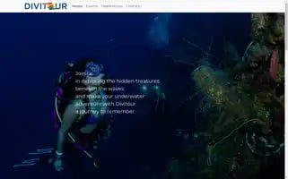 Divitour.com Screenshot 2024-04-16 01:59:18