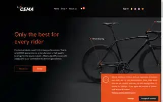 Cemabearing.be Screenshot 2024-07-01 13:43:13