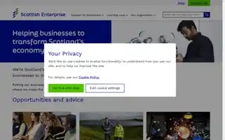 Scottish-enterprise.com Screenshot 2024-07-01 05:56:33