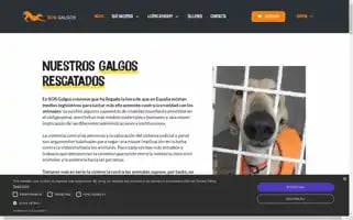 Sosgalgos.org Screenshot 2024-06-18 19:14:54