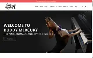 Buddymercury.com Screenshot 2024-05-04 23:08:15