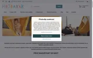 Hojdavak.cz Screenshot 2024-06-30 02:19:33