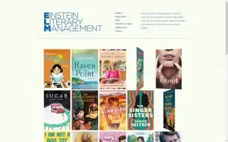 Einsteinliterary.com Screenshot 2024-07-01 00:56:40