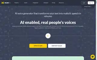 Murf.ai Screenshot 2024-06-17 19:39:06