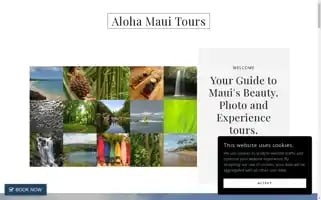 Alohamauitours.com Screenshot 2024-04-17 16:14:27