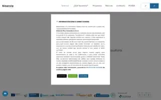 Sinerxia.es Screenshot 2024-07-03 11:51:39
