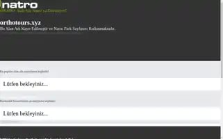 Orthotours.xyz Screenshot 2024-04-14 22:31:40
