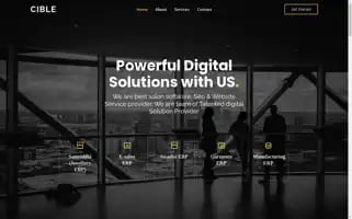 Cible.co.in Screenshot 2024-06-26 21:34:35