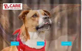 Careforanimals.org Screenshot 2024-05-15 16:32:29