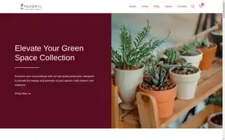 Tocoryl.com Screenshot 2024-05-28 04:52:48