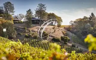 Outpostwines.com Screenshot 2024-07-02 03:48:56