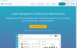 Timeforge.com Screenshot 2024-07-07 00:24:20