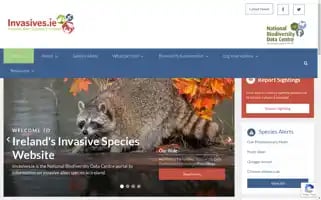 Invasives.ie Screenshot 2024-06-29 19:24:40